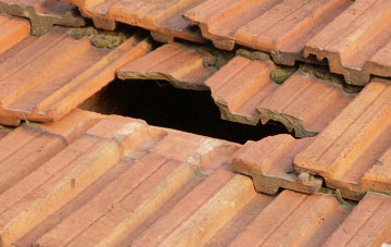 roof repair Bramfield